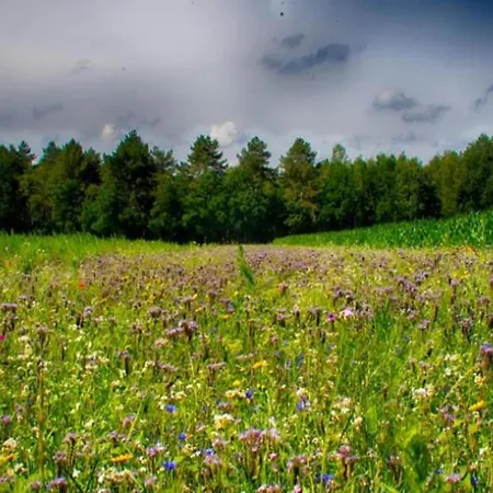 בית נופש Large Play Sun Meadow