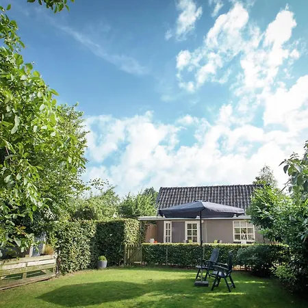 Vakantiehuis Large Play Sun Meadow